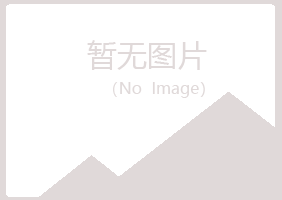 偃师凌乱能源有限公司